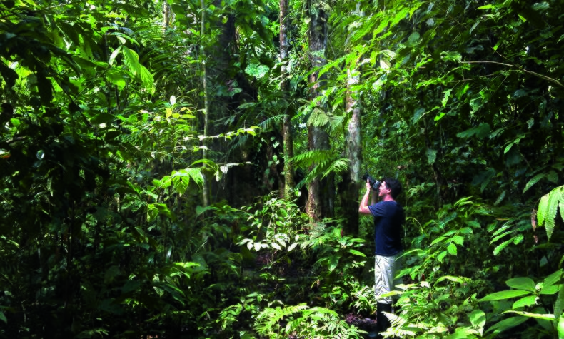 viaje lujo remoton selva Amazonas Ecuador