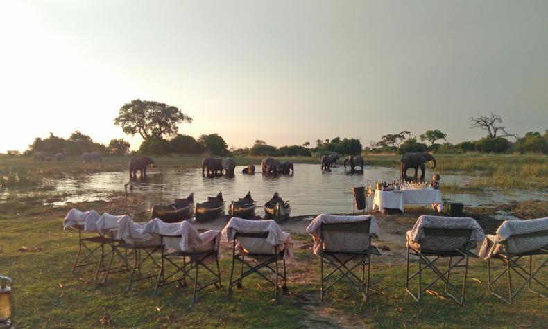 viaje lujo safari Africa Botsuana elefantes okavango