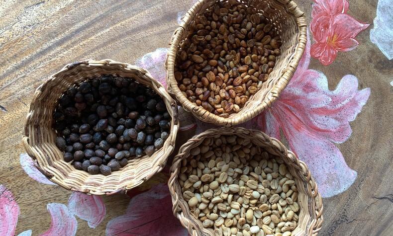 viaje eje cafetero Colombia Quindio