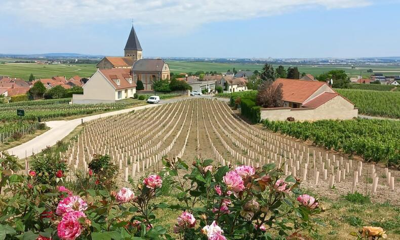 la champagne