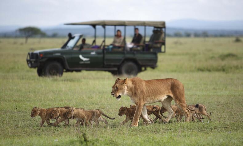 Serengeti River Lodge &amp;Beyond
