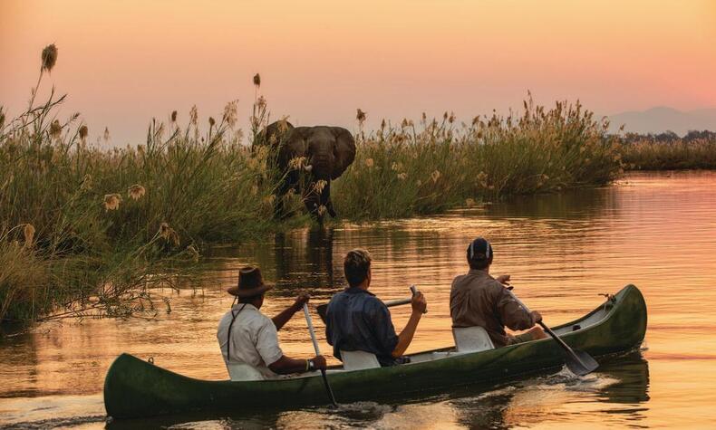 Tembo Plains Camp