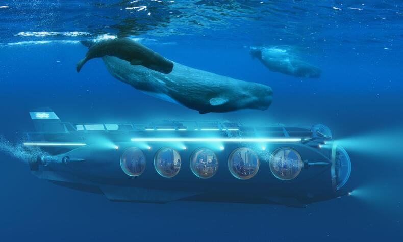 safari submarino con ballenas