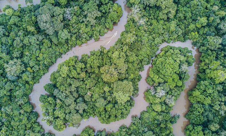 Los meandros en la selva son autenticas carreteras. Foto: Scott Ramsey Vista aerea de un meandro en la selva