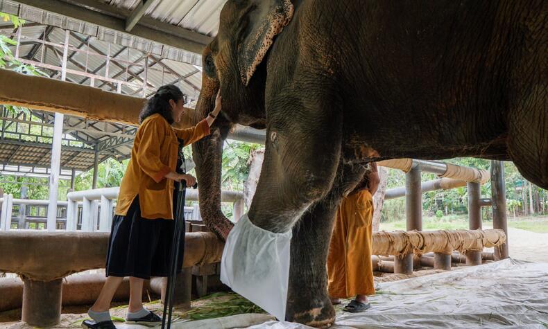Soraida Salwala con uno de los elefantes Friends of the Asian Elephant Soraida Salwala