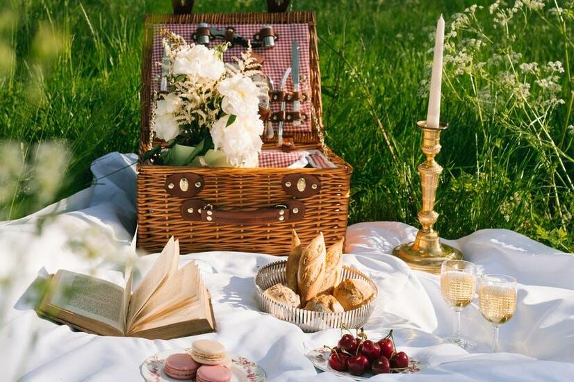picnic le grand controle versalles