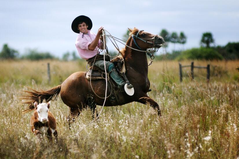 Foto: Irupe Lodge. Foto: Irupe Lodge.