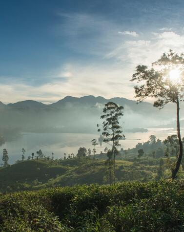 viajes lujo sri lanka hoteles ceylon tea trails