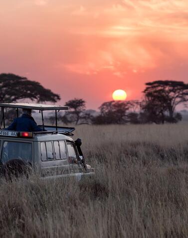 viaje lujo safari Africa Botsuana