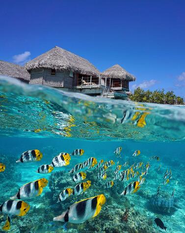 viaje lujo romántico islas remotas polinesia francesa