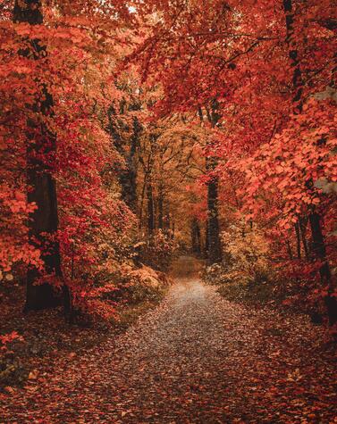 viaje escapada otoño naturaleza