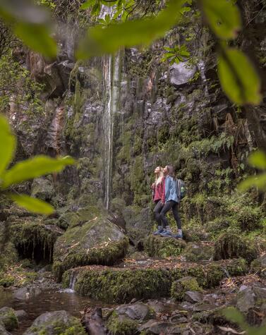 Levada dos Cedros. Foto: Francisco Correia.