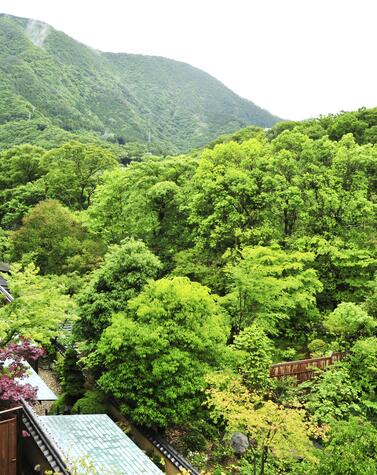Hoshinoya Fuji