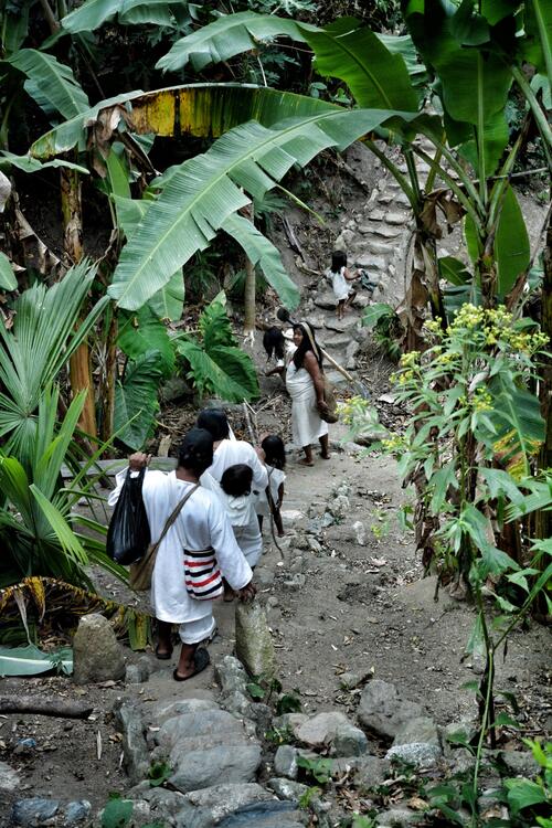 El "Camino del Kogui" está formado por una red kilométrica de caminos y escaleras de piedra que atraviesan la selva colombiana. viaje remoto colombia etnias el camino del kogui