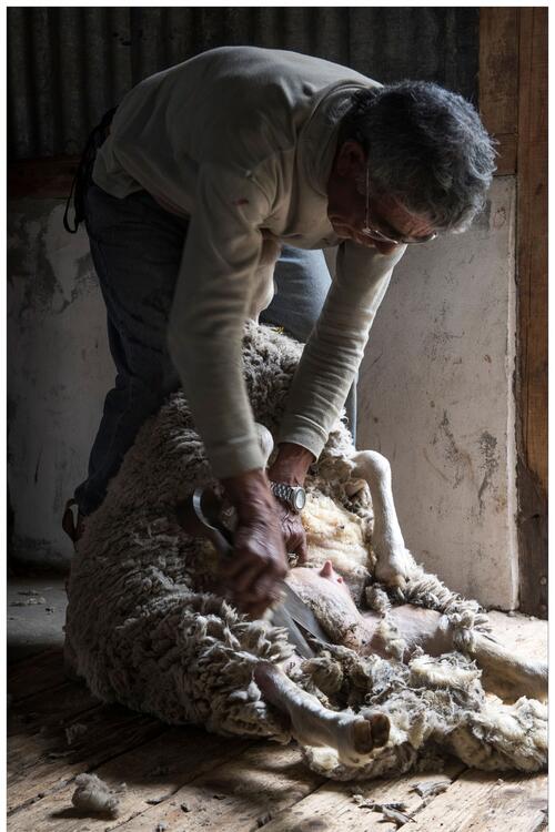 Foto, Katti Borre. Foto Katti Borre