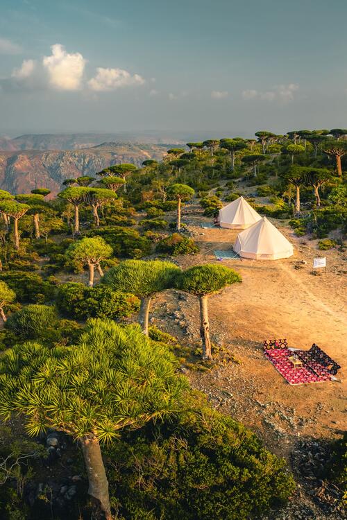 Foto: Johan Vandenhecke.