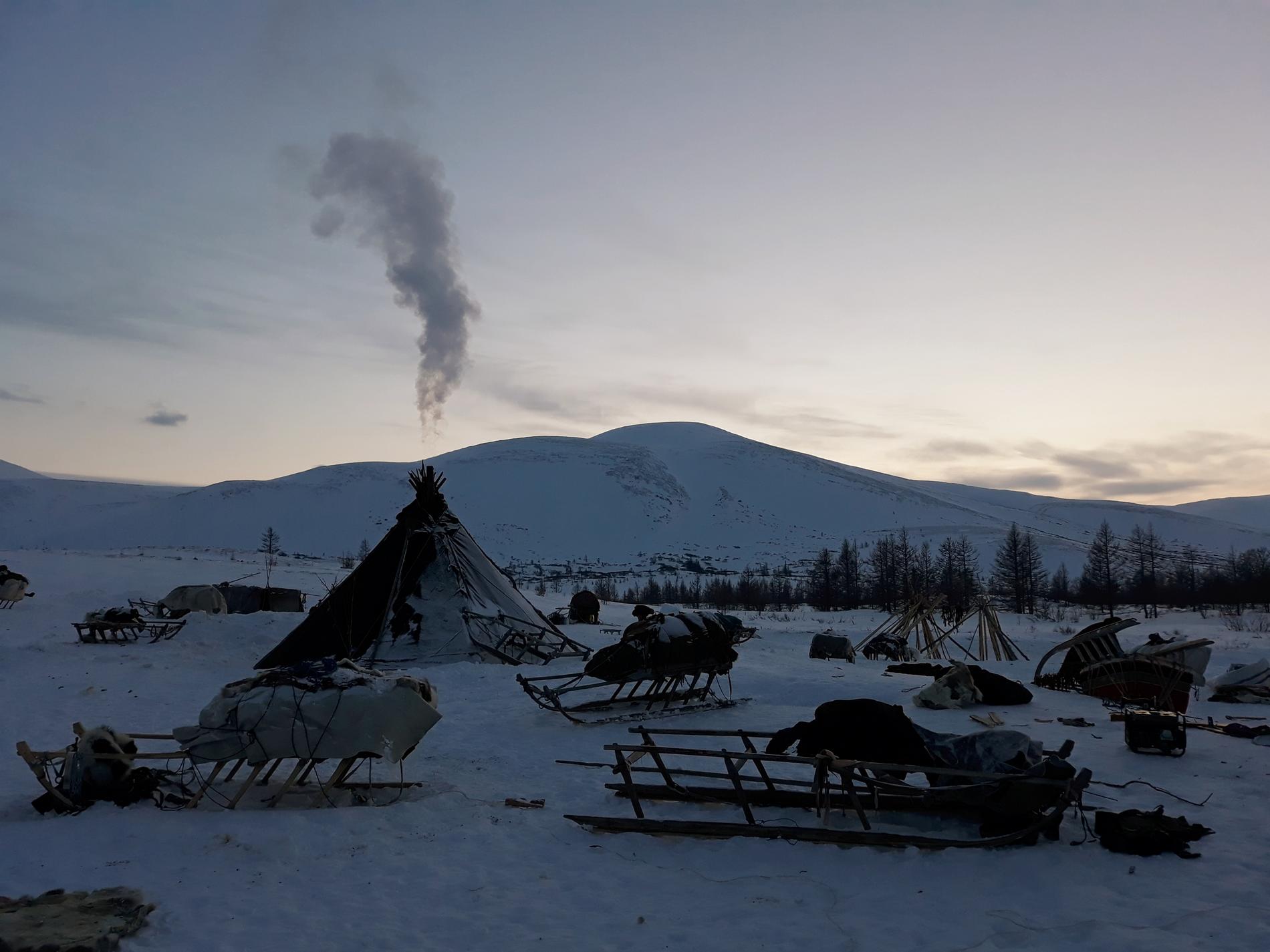 campamento nenet siberia ártico