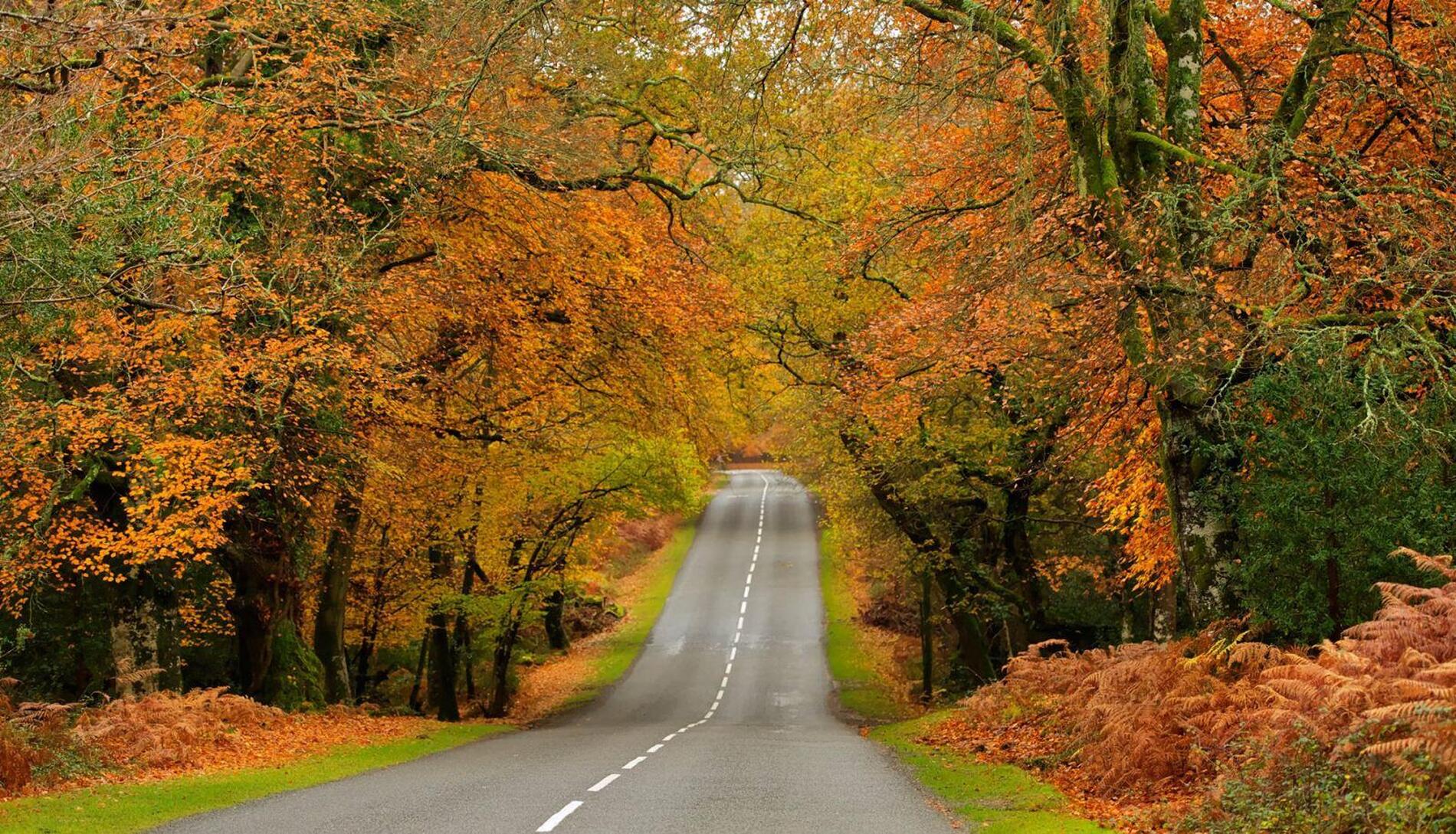 viaje escapada otoño naturaleza