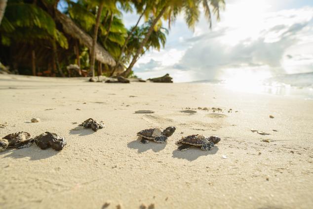 Viajes lujo remoto sostenibilidad islas playas calala nicaragua