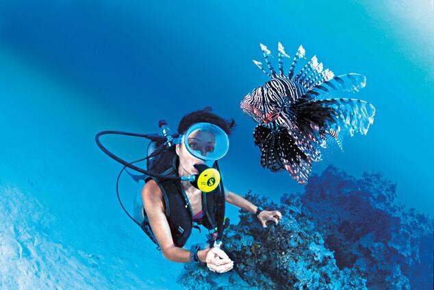 viaje lujo romántico islas remotas polinesia buceo