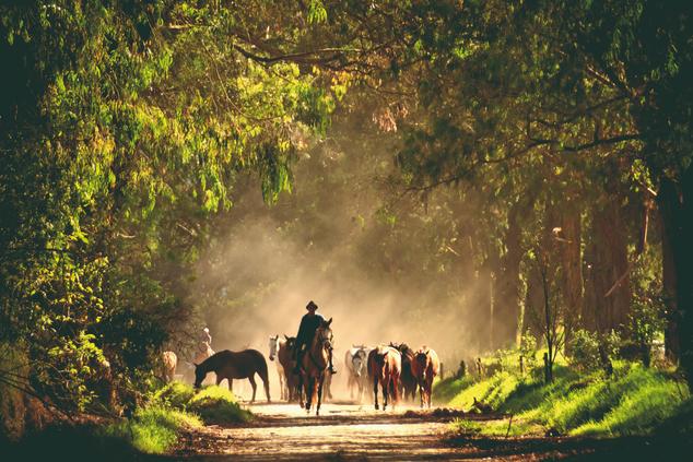 viaje lujo ecuador experiencia caballo hacienda zuleta