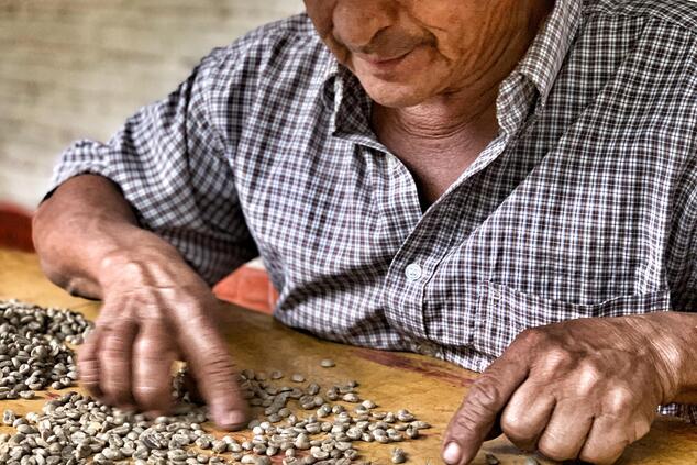 viaje eje cafetero colombia