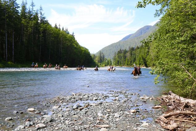 osos pardos viaje canadá