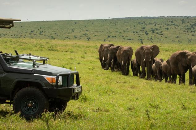 cottars camp safari kenia