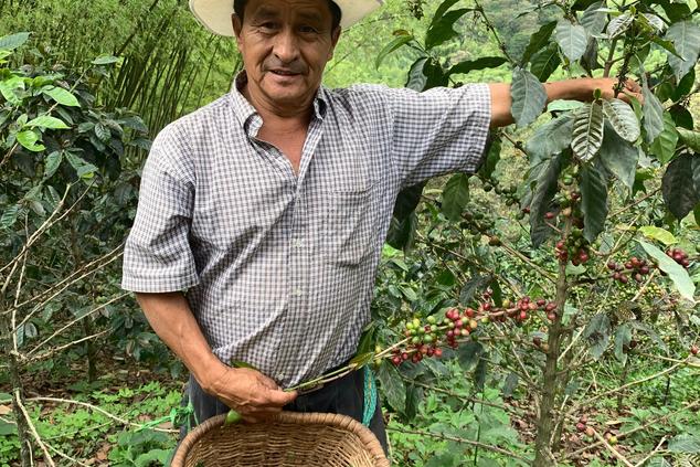 don leo ruta de café colombia