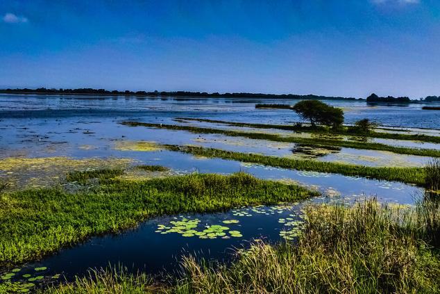 everglades parque nacional estados unidos