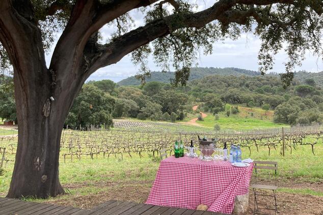 picnic viñas casa palmela