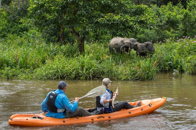 Al encuentro de elefantes en kayak por los afluentes del río Congo