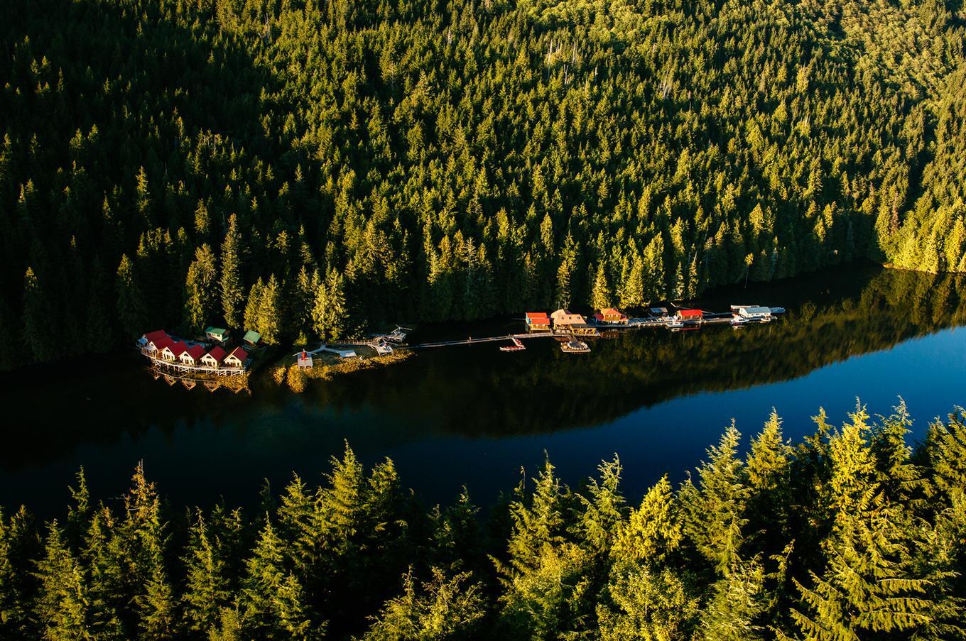 La isla de Vancouver alberga uno de los bosques de coníferas más antiguos del mundo viaje lujo remoto columbia británica canadá