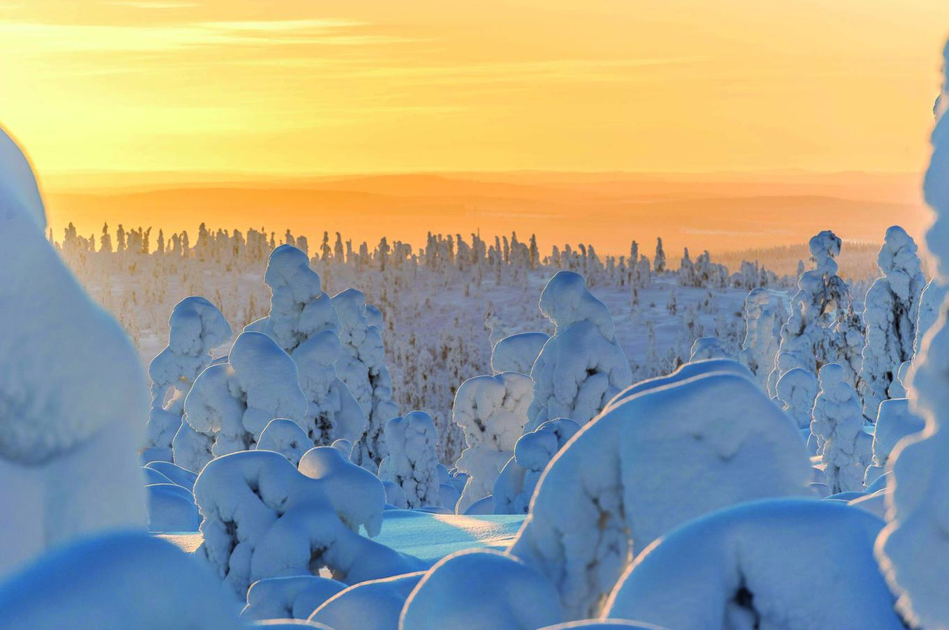 viaje lujo experiencia paisaje de nieve en Finlandia