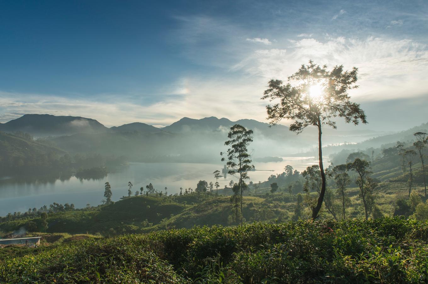 El lago Castlereagh, a 1.250 metros de altitud, representa el corazón de una de las mayores zonas productoras de té del mundo viajes lujo sri lanka ceylon tea trails hoteles lago castlereagh