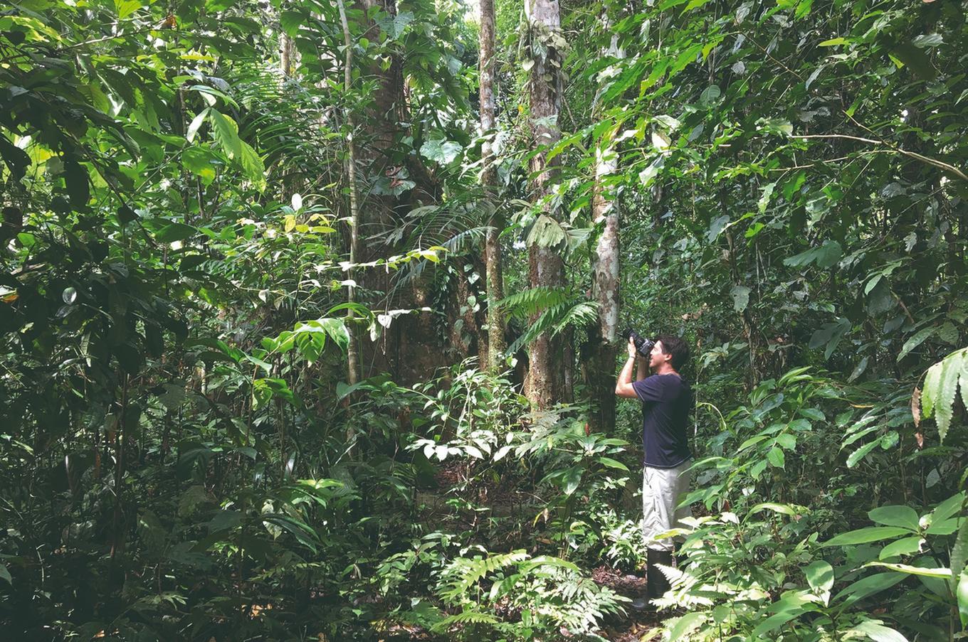 Gonzalo Gimeno, managing partner de Elefant Travel en la selva del Amazonas viaje lujo Gonzalo Gimeno Elefant Travel selva Amazonas Ecuador