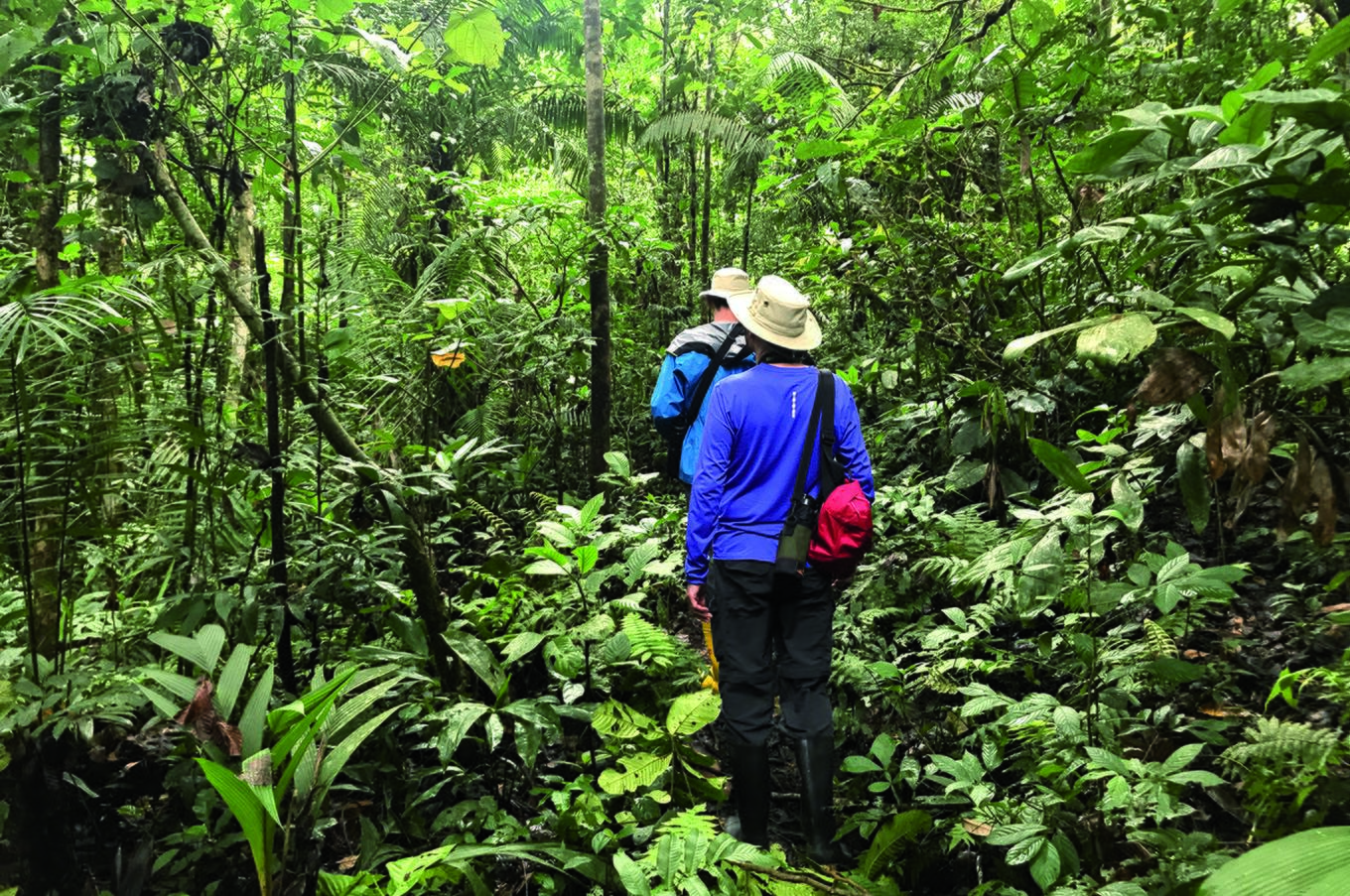 viaje experiencia lujo selva Amazonas Ecuador