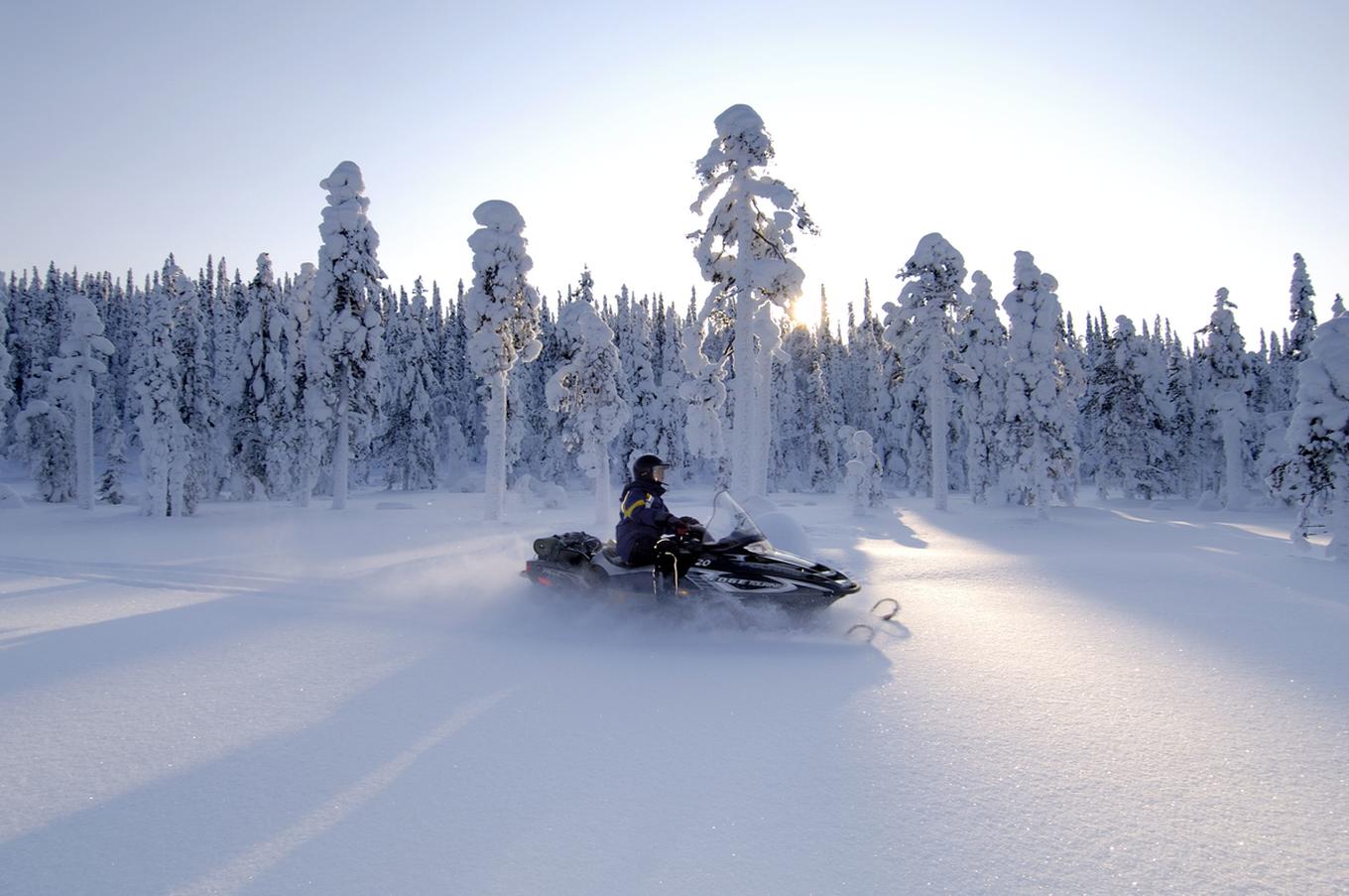 experiencia lujo excursión en moto de nieve bosque boreal