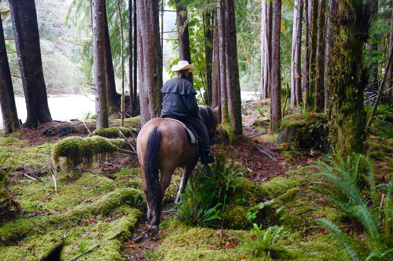 clayoquot wilderness resort