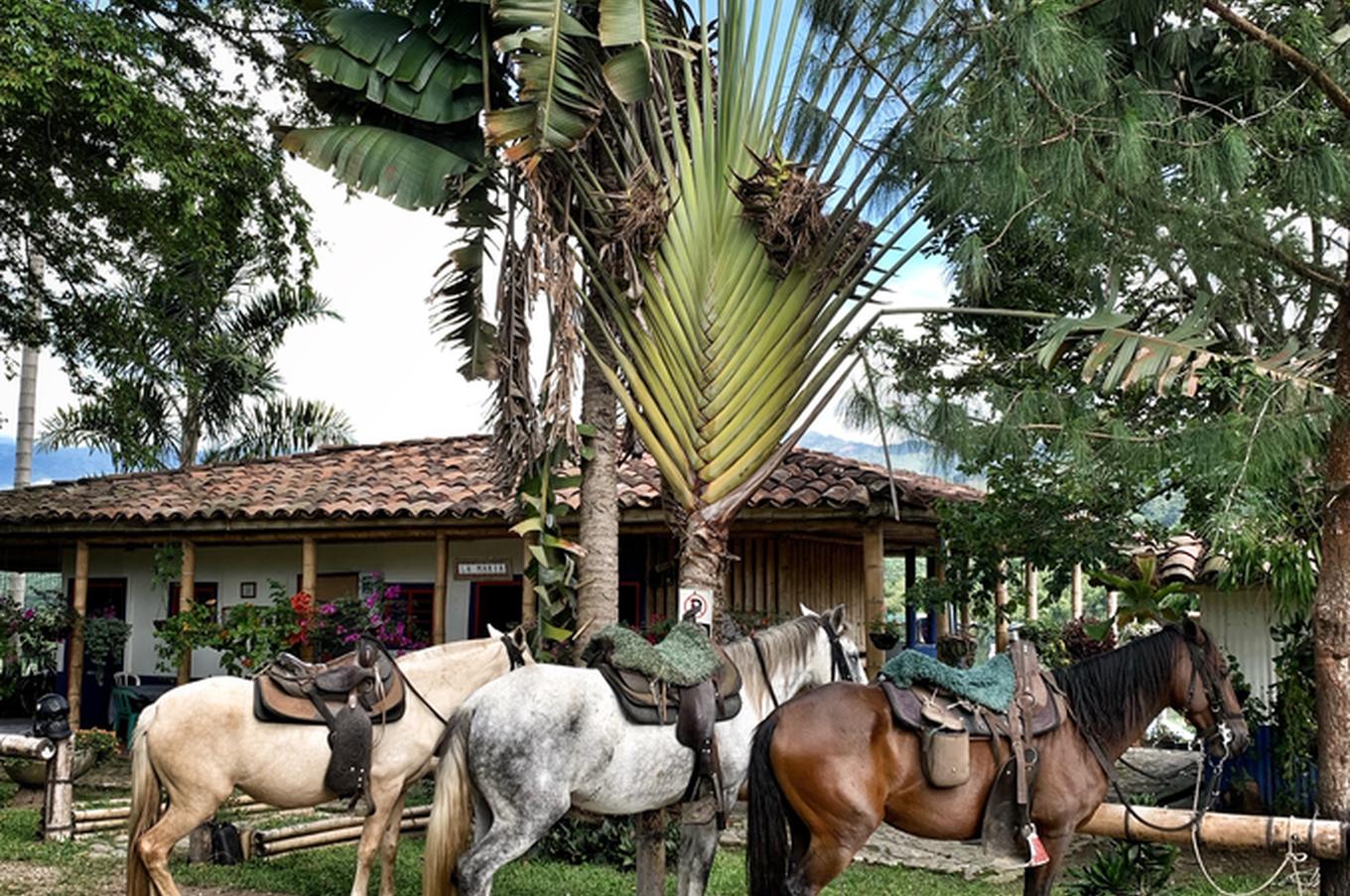 viaje lujo Colombia hacienda bambusa