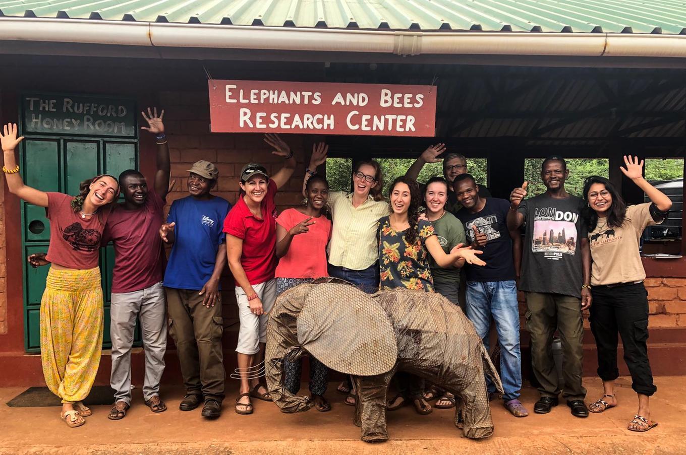 elephants and bees project