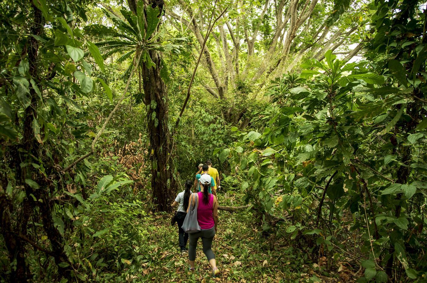 viaje lujo panamá isla palenque