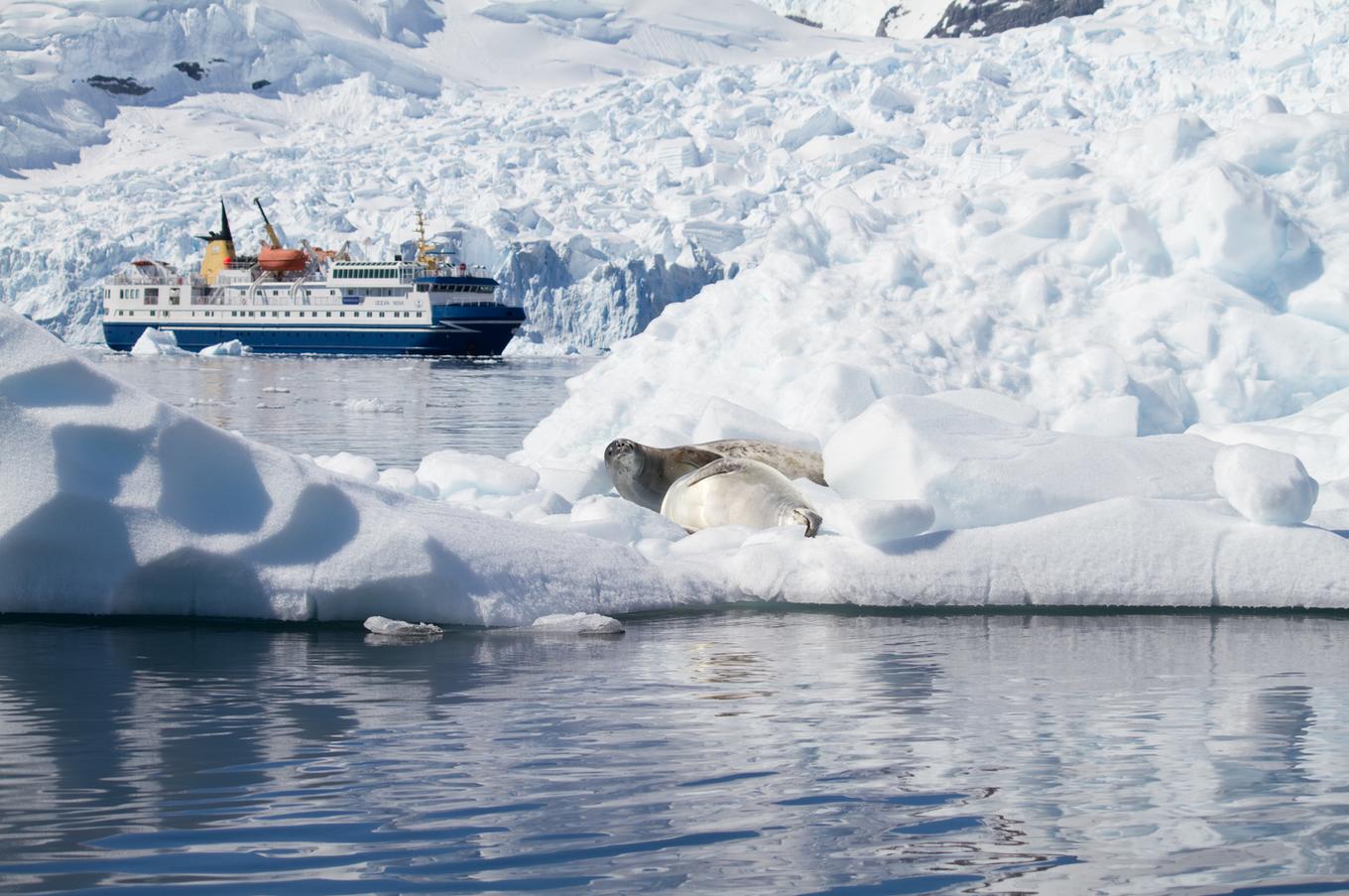 viaje lujo antártida aero crucero magellan explorer