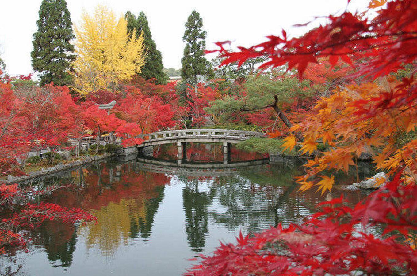 templo tokio japón 