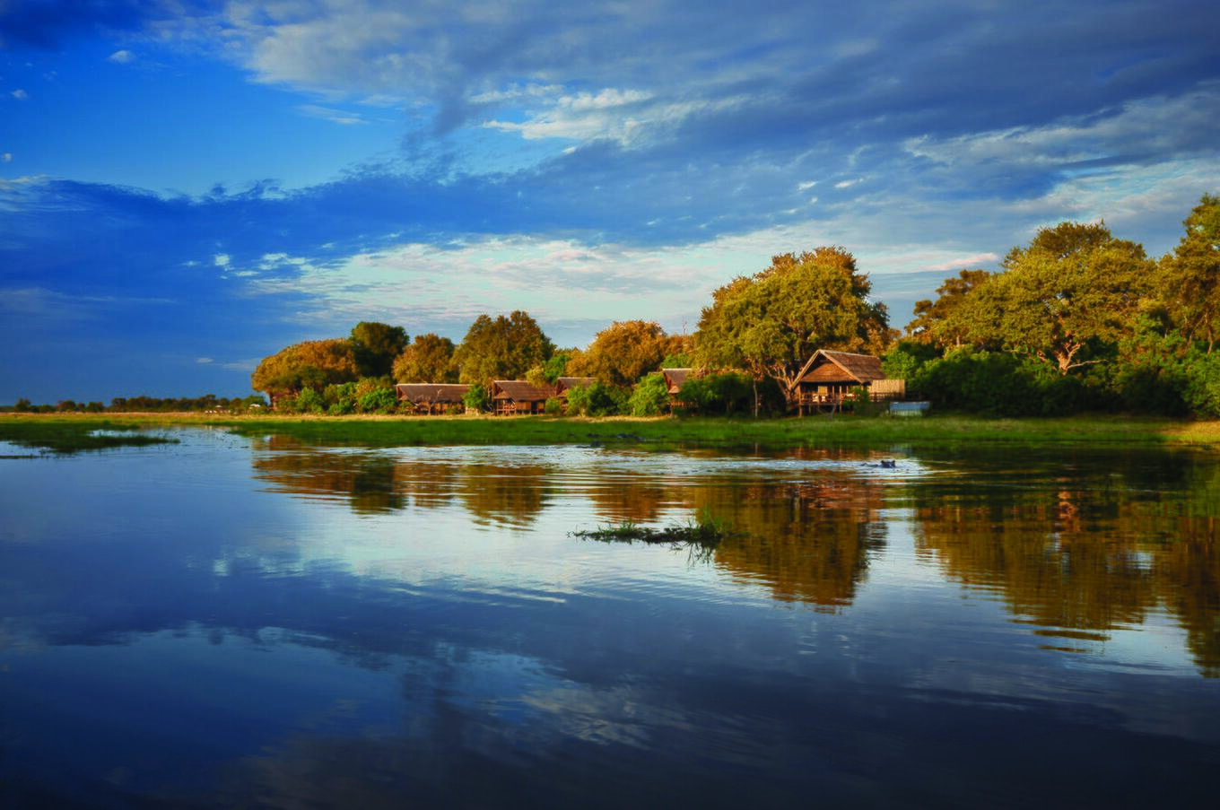 Khwai River Lodge 