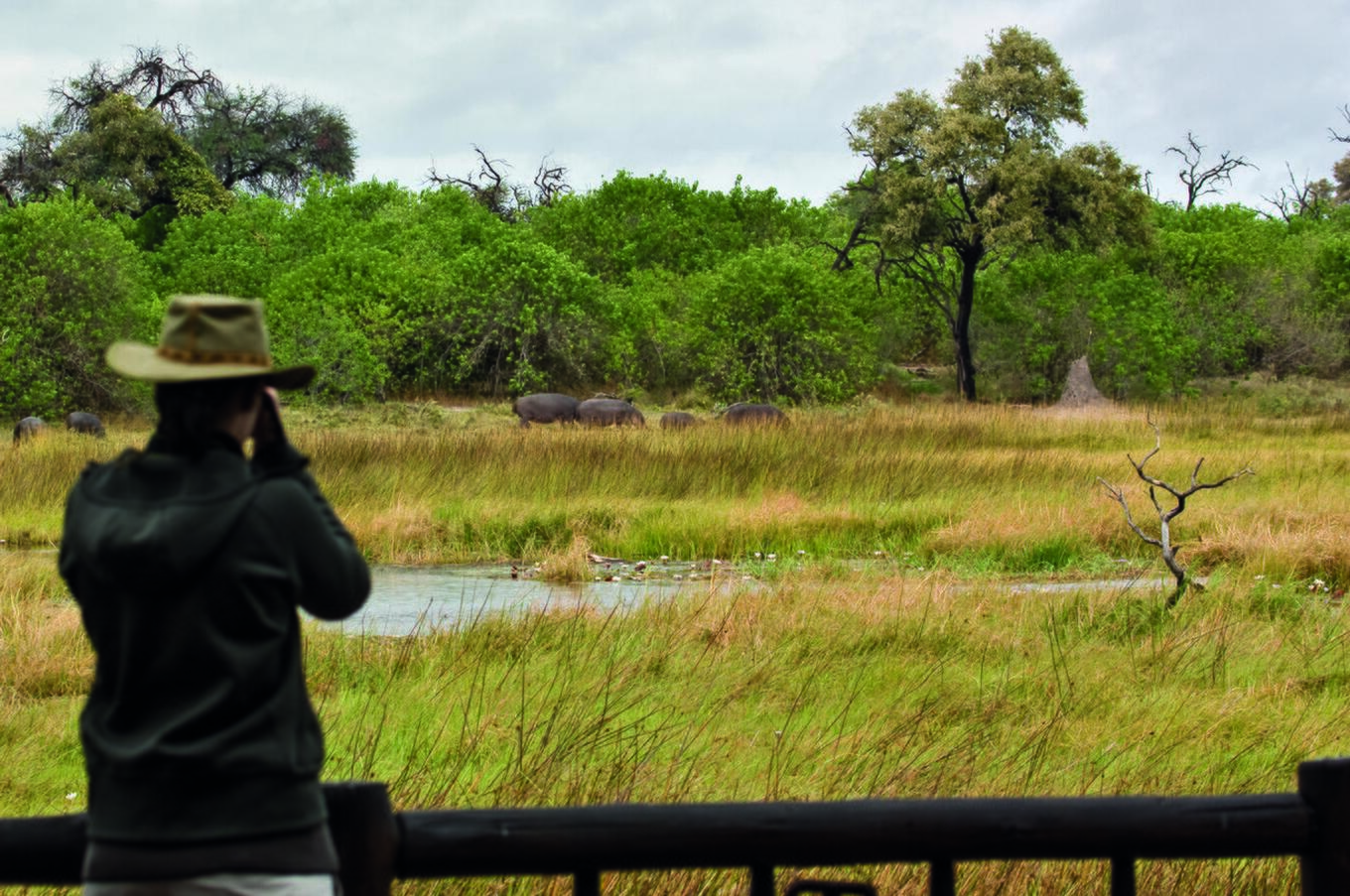 Khwai River Lodge 