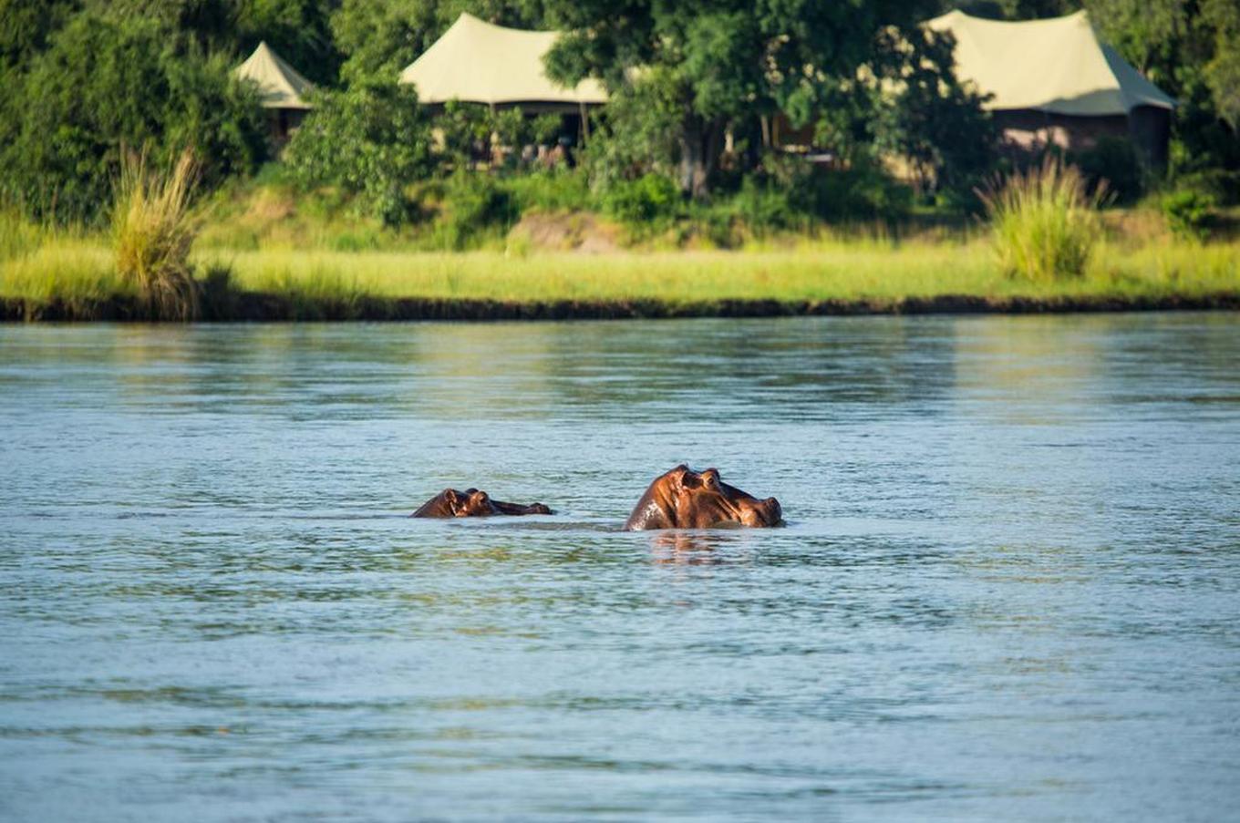 Tembo Plains Camp