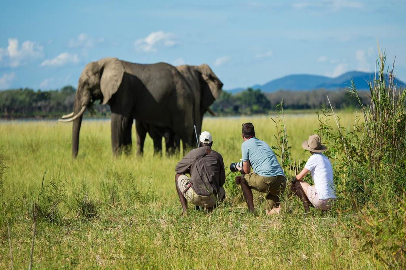 Tembo Plains Camp