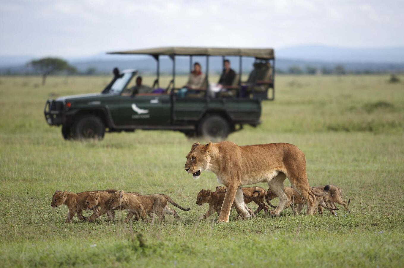 Serengeti River Lodge &Beyond