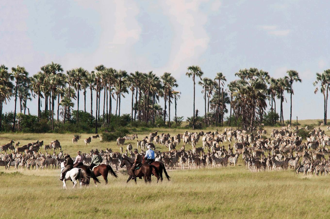 Safari a caballo en la salina de Makgadikgadi